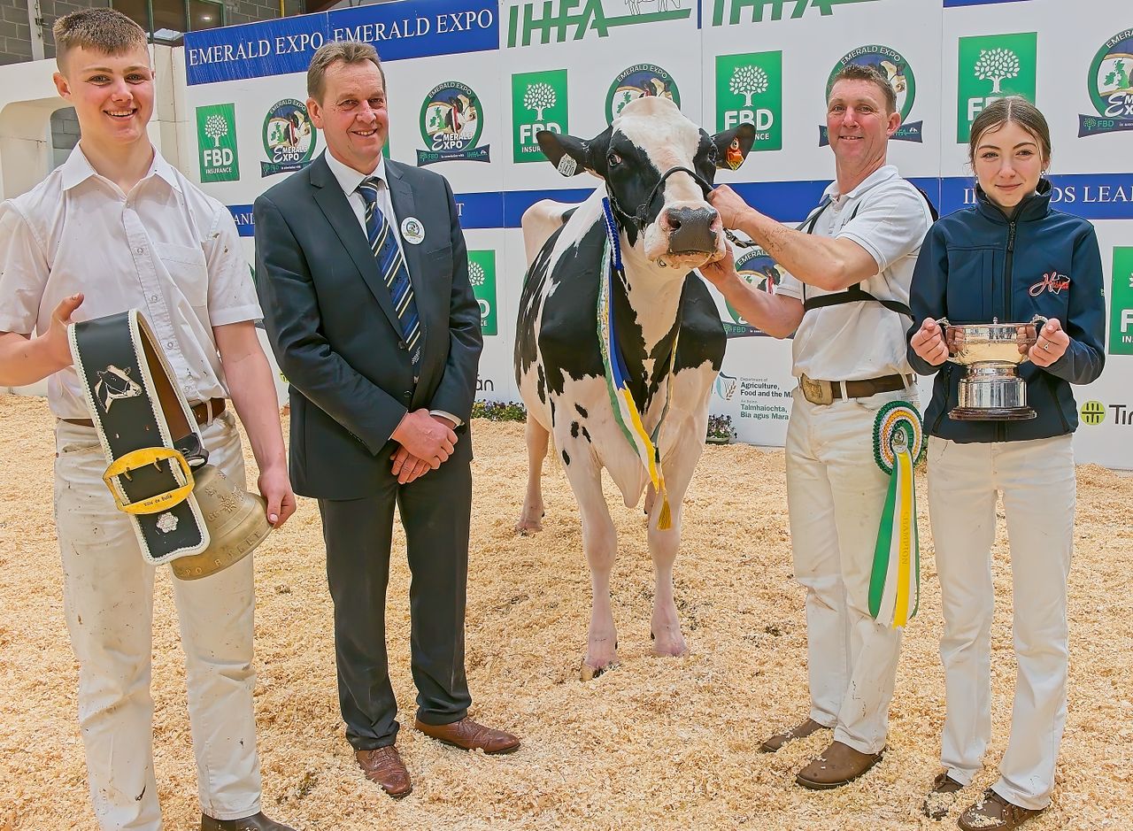 Wexford family take top titles at 12th Emerald Expo in Cavan