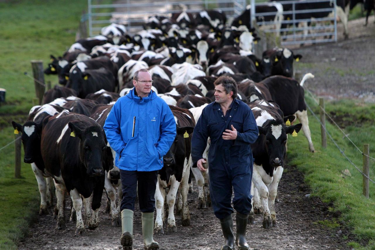New rules on farm inspections should be brought in as soon as possible - Minister