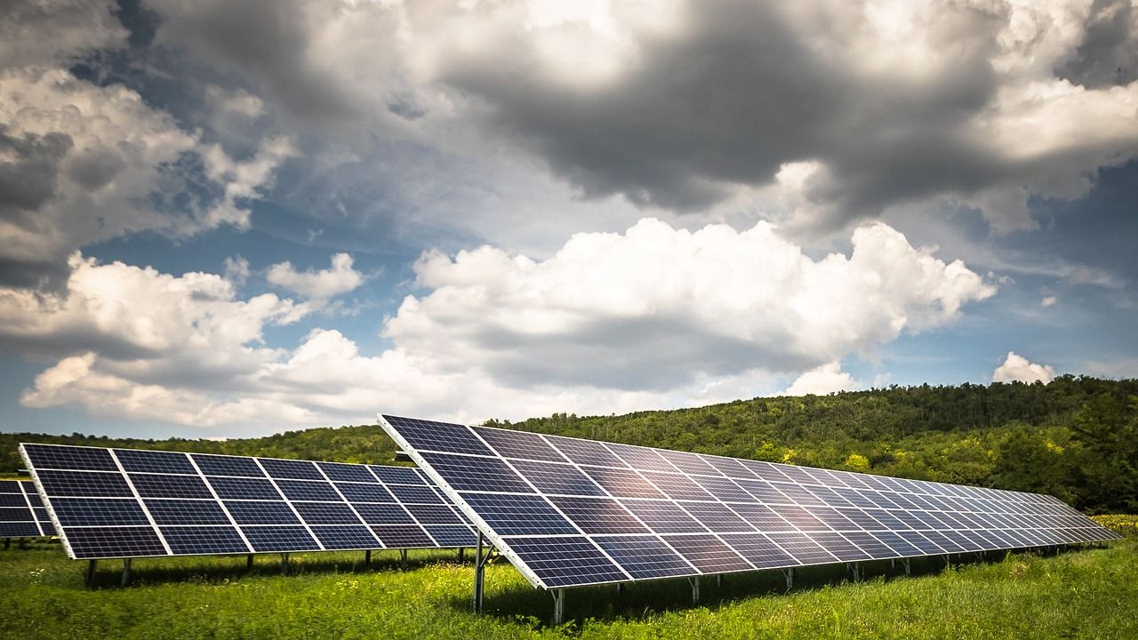 'No scientific evidence' linking solar farms to TB outbreaks - industry group