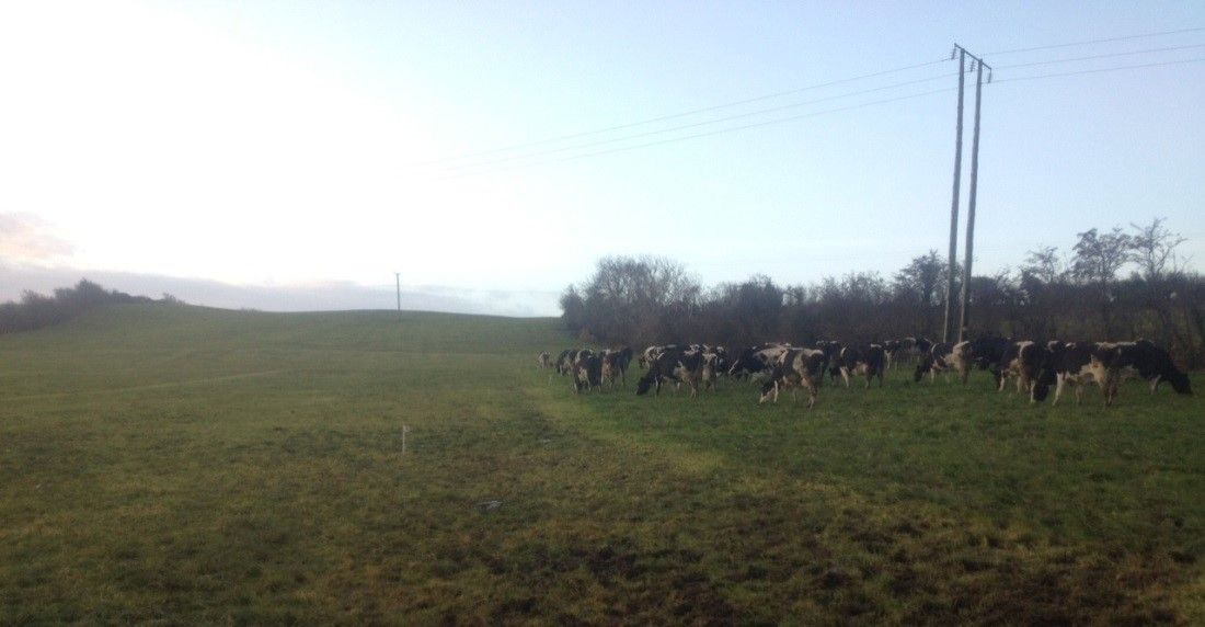 3,000 NI farmers sign up for soil sampling scheme