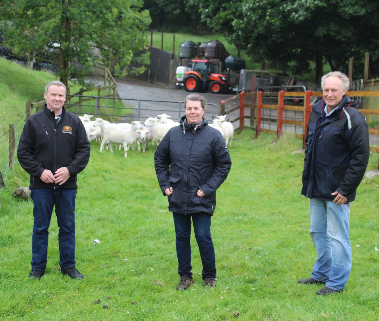Demand for EasyCare sheep continues to rise in New Zealand