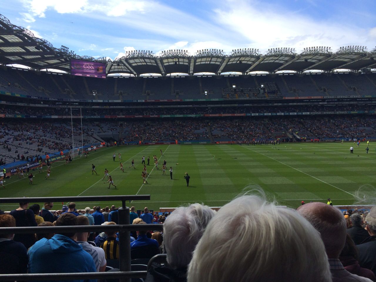 Forget about the cats, a hawk has deterred the Croke Park pigeons
