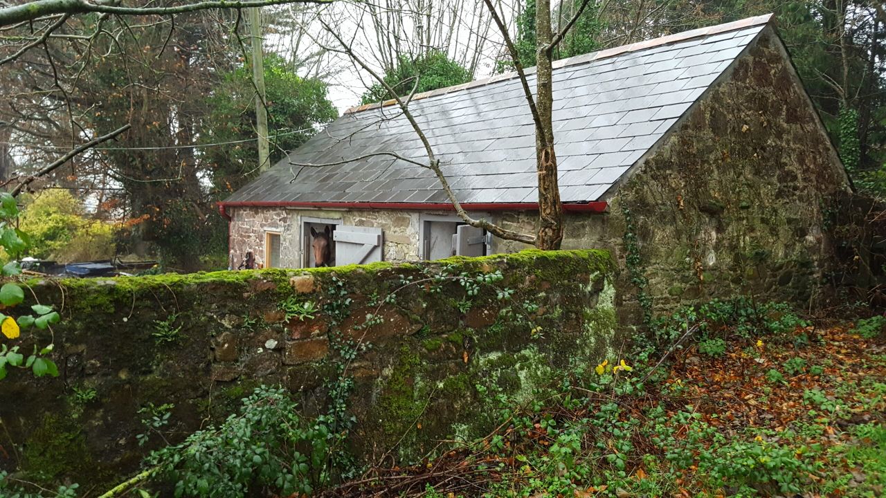 Minister Creed launches traditional farm buildings grant