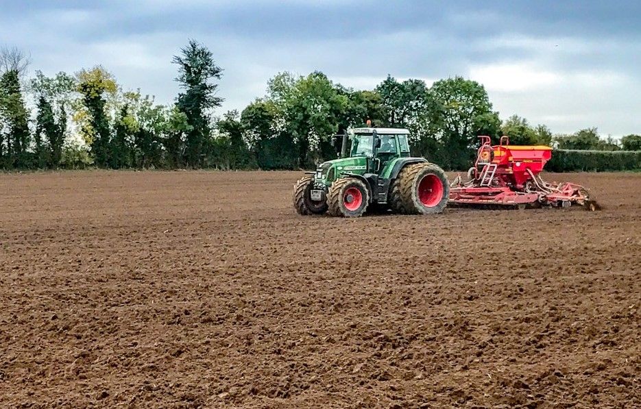 How much seed is available for each variety in 2018?