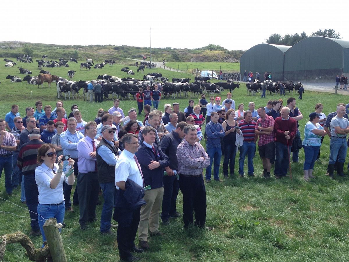 Getting milk quality right - top tips from a top dairy farm