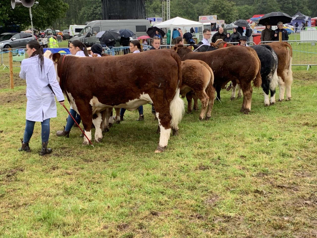 Three is a lucky number for some at Armagh Show 2025