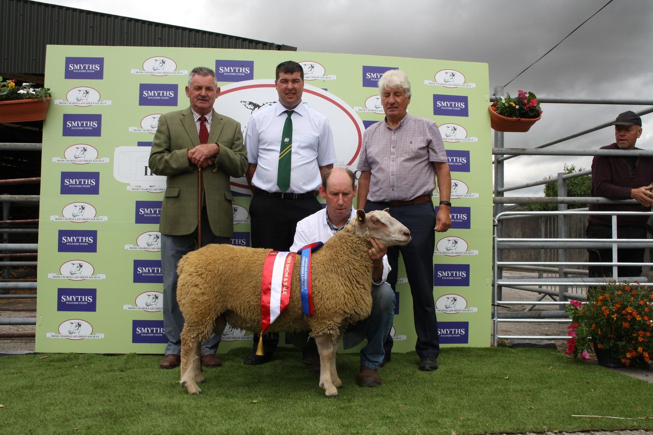 Charollais Sheep Society in central move for premier show