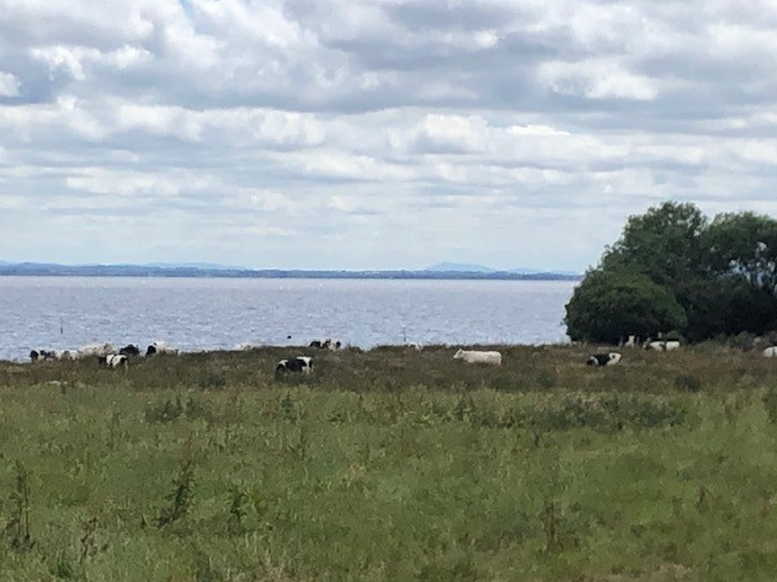 Minister urged to attend meeting with farmers about Lough Neagh