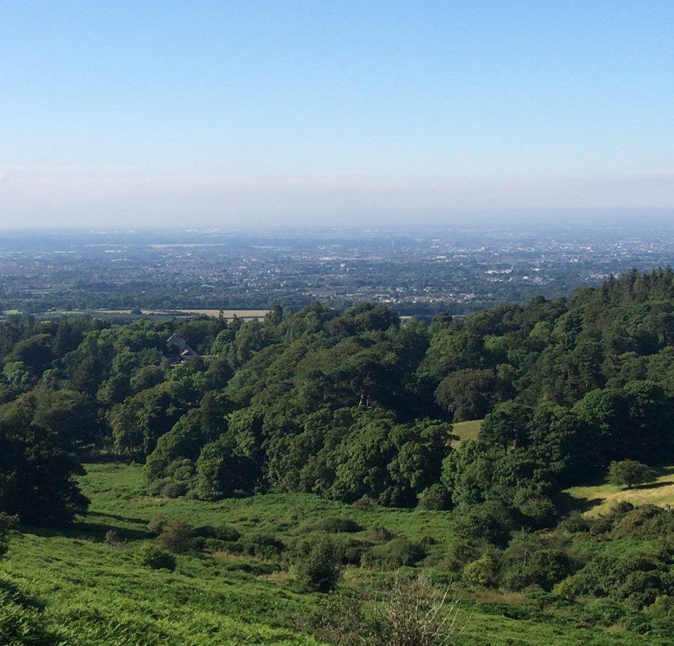 Dublin farmers 'take more than fair share' of CAP payments - Tóibín