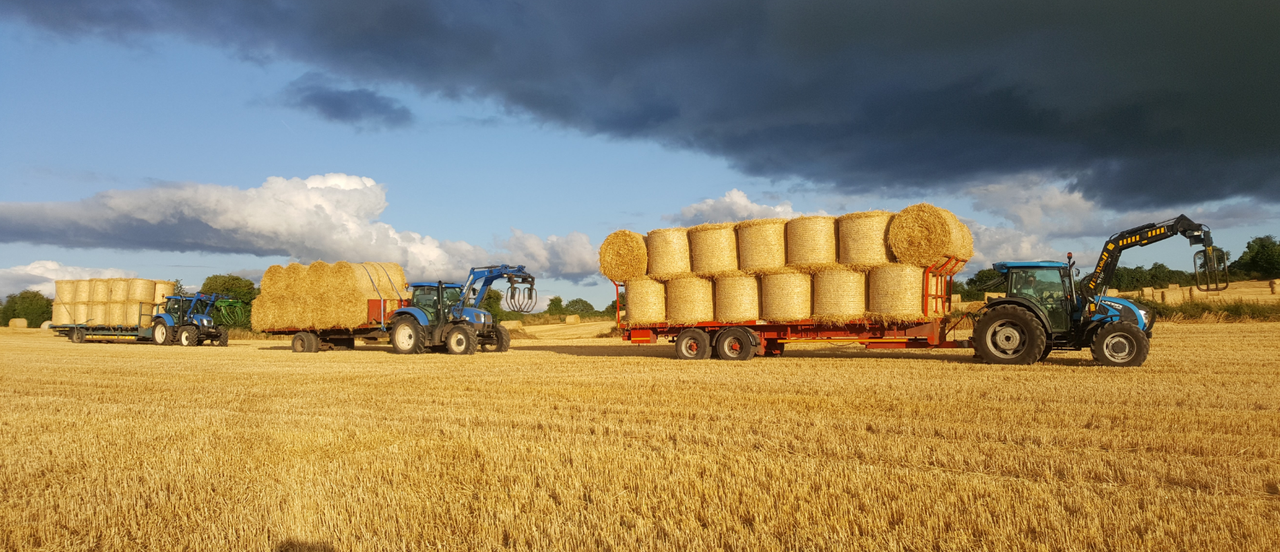 Straw trade: What are prices looking like for this year?