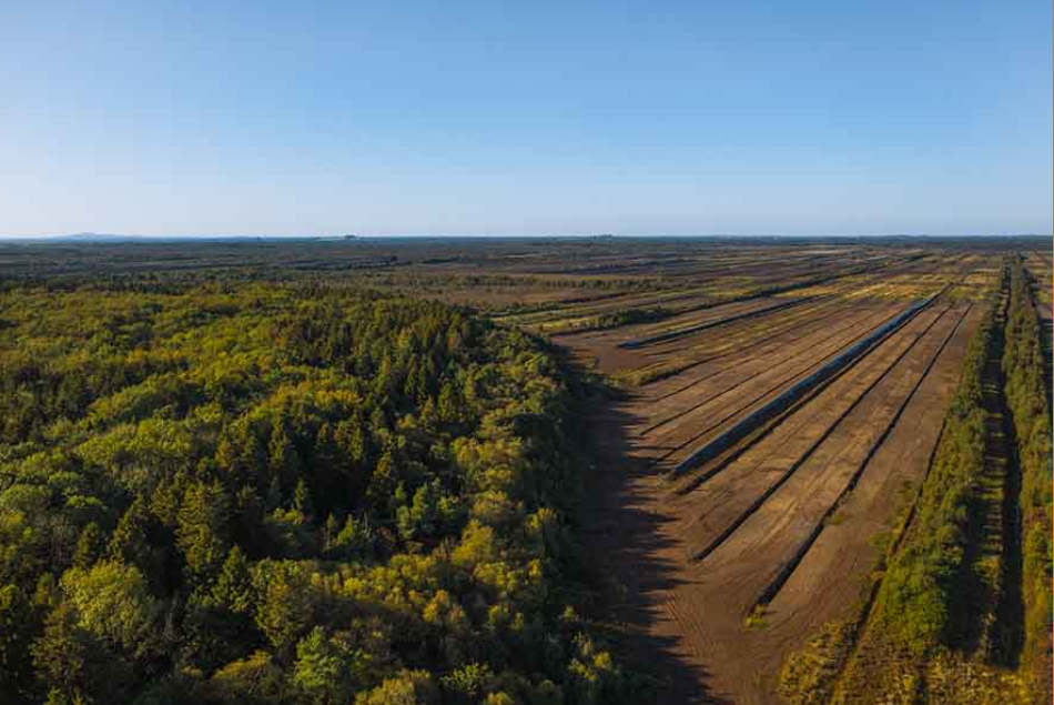 Bord na Móna and ICL partner to produce 'sustainable growing media'