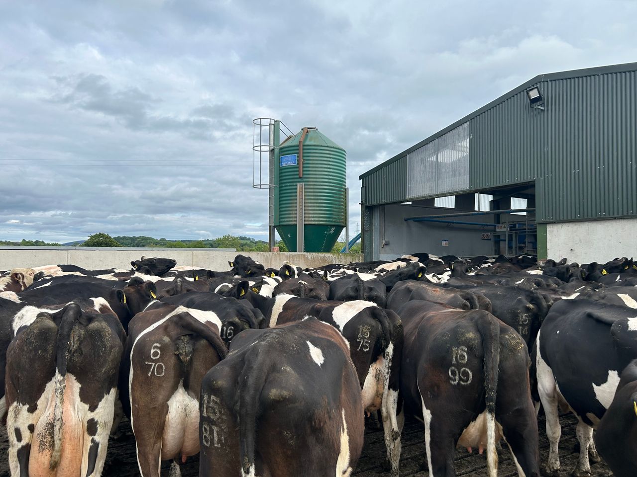 Total production costs up by 56% since 2015 on dairy farms