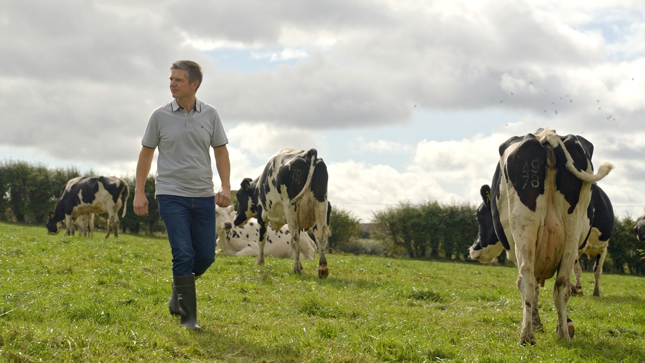 Co. Cork dairy farmer Victor O’Sullivan with his Lisduff herd. Source: ICBF
