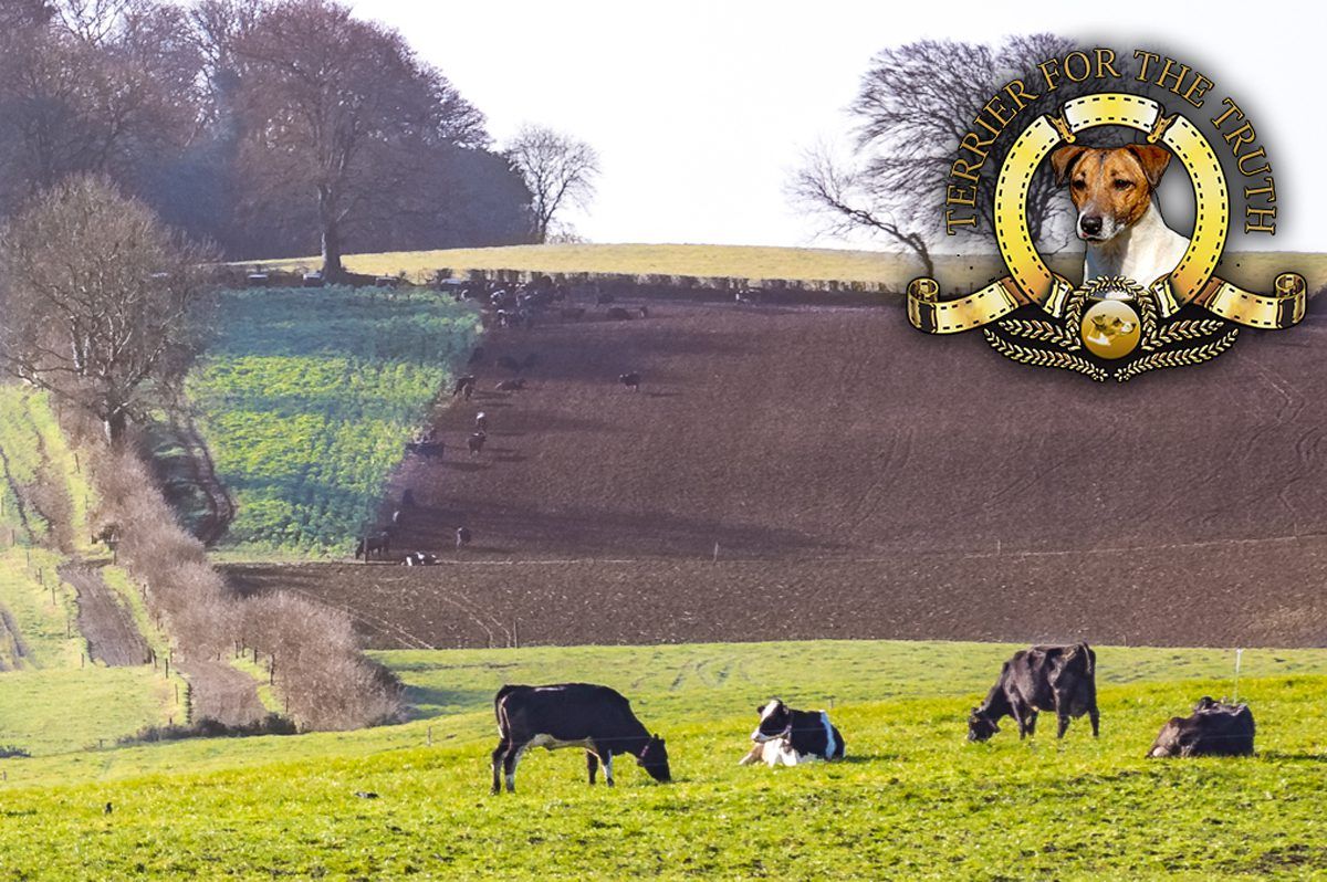 Jack Russell: What about 100% convergence in politicians' payments?