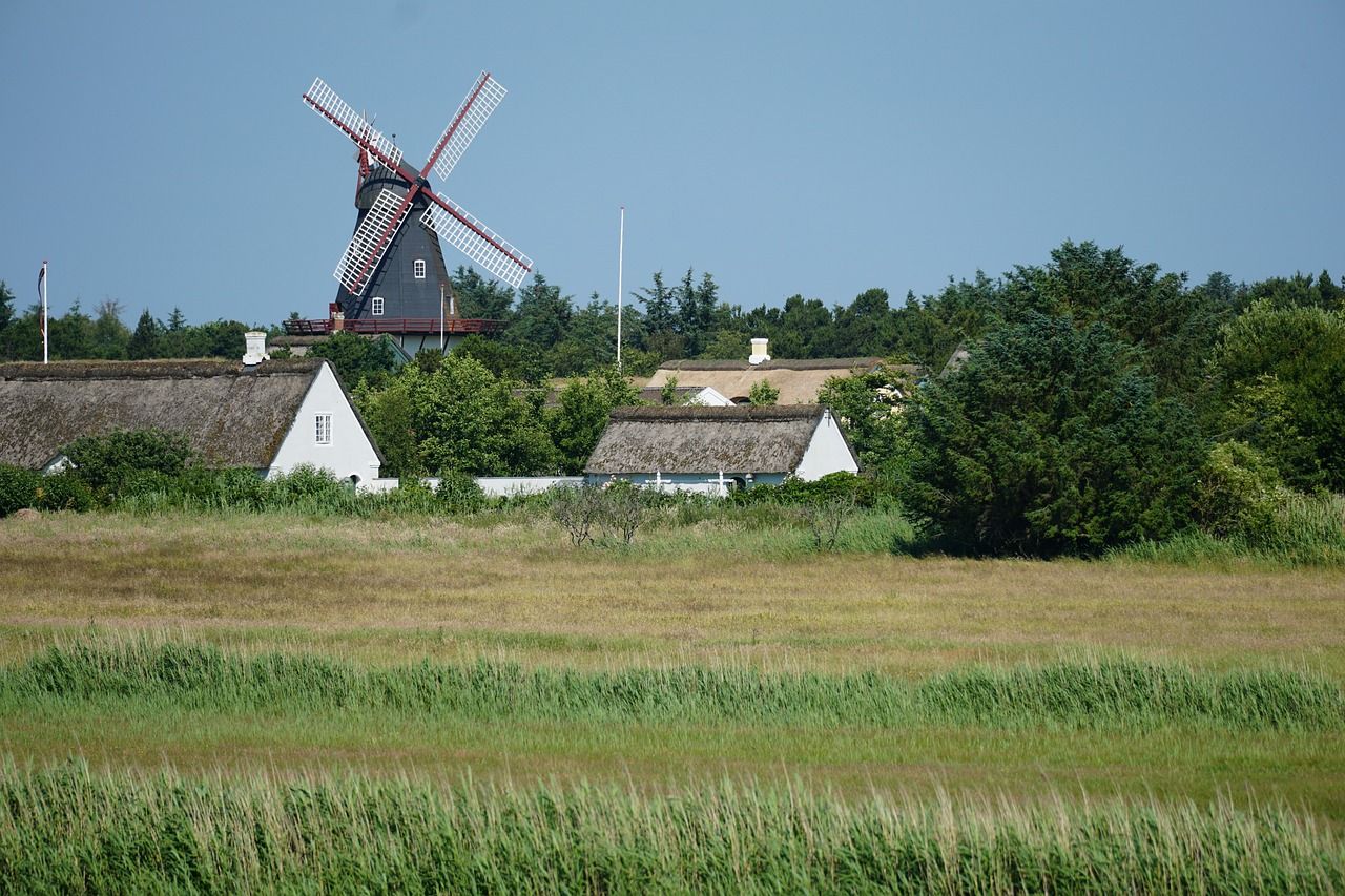Thomas Duffy: Why has Denmark embraced a cow tax?