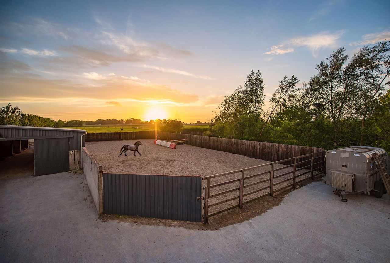'Rare' residential property for sale with equine facilities and an American-style barn