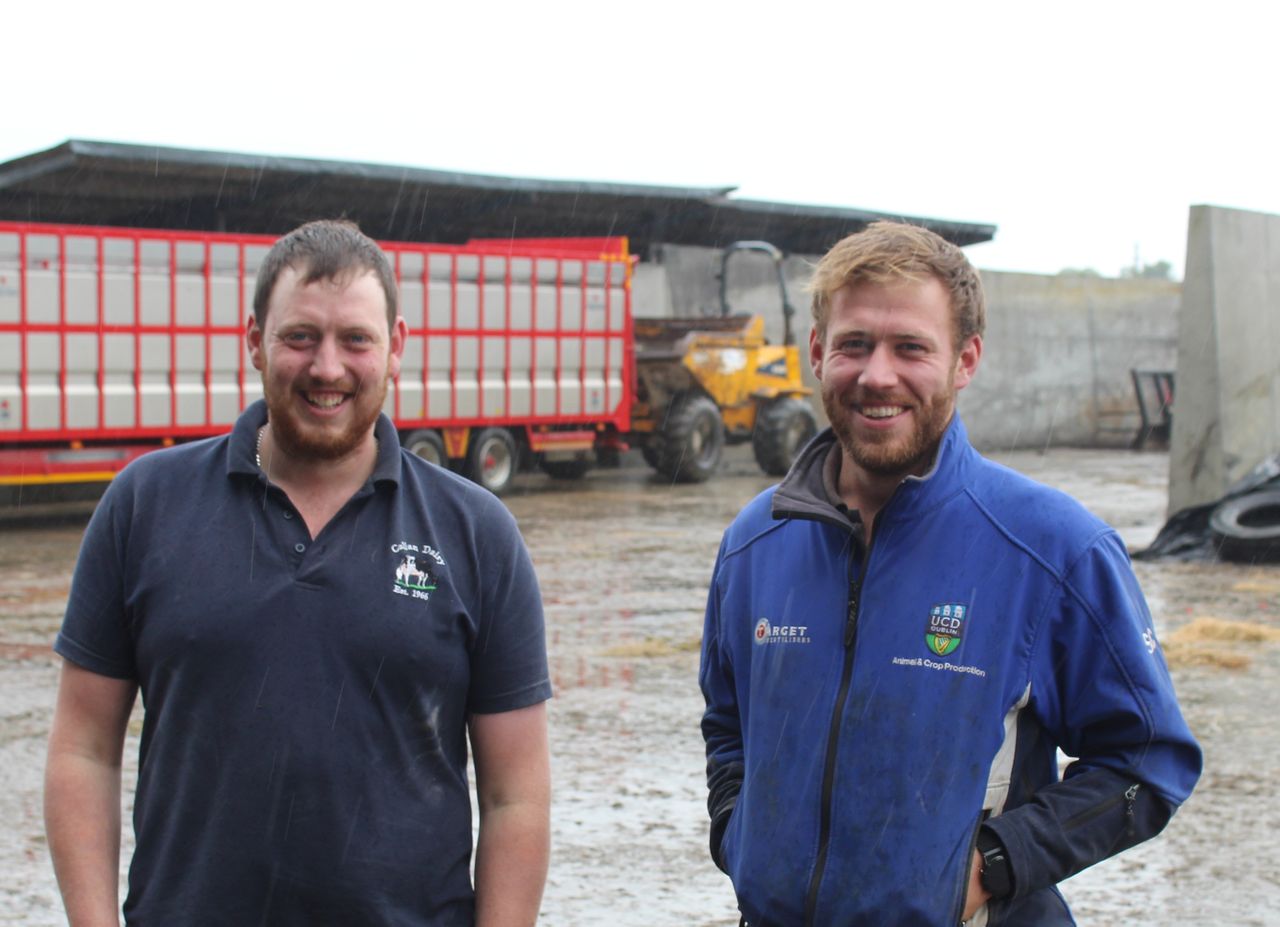 Tillage: Select winter barley crops in Louth have started to lodge