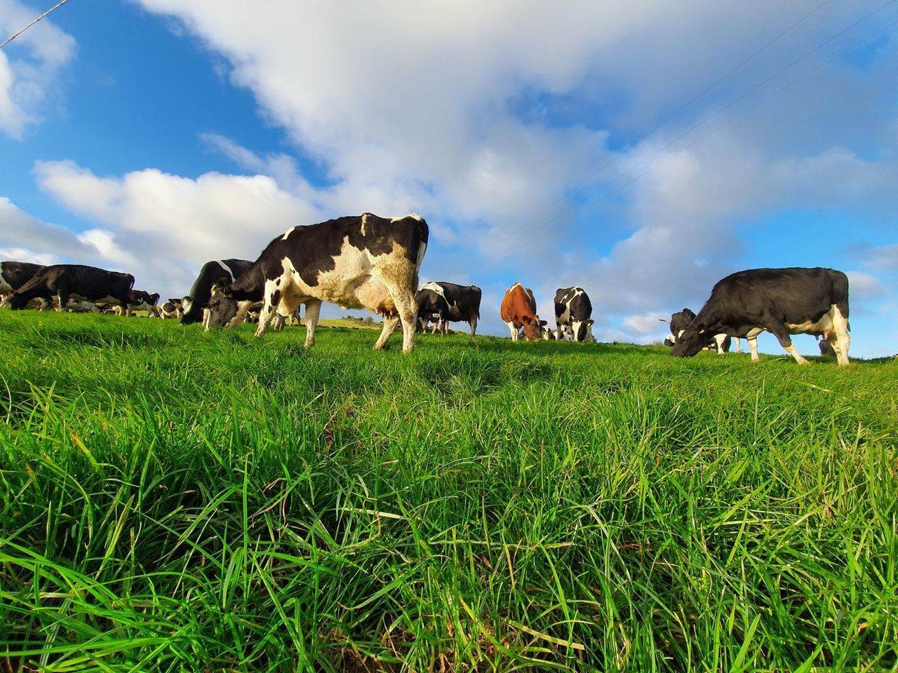 Wicklow farmers' preventative approach wins sustainability award