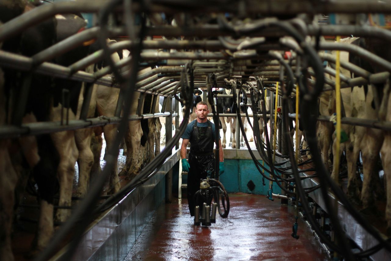 Waterford farm wins National Quality Milk Award