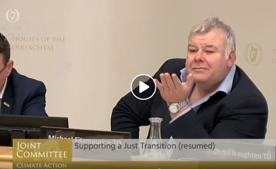 Spotlight on lack of clarity concerning EU emissions trading after plant closures
