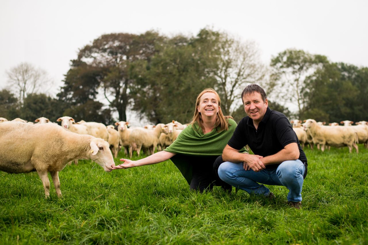 Mayo business to give away free sheep's milk in bid to grow