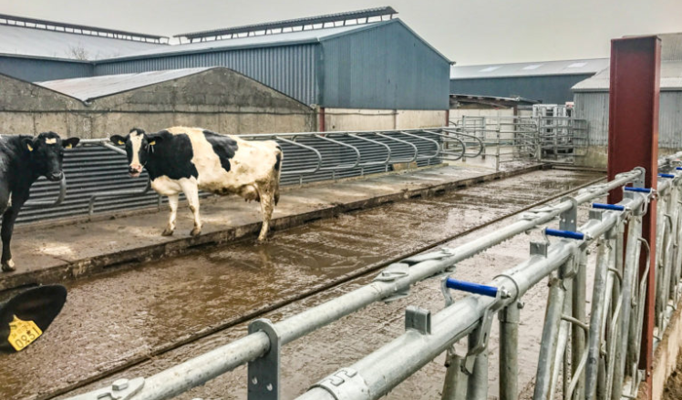 Gearing up for winter: Attention turning to getting the farmyard ready