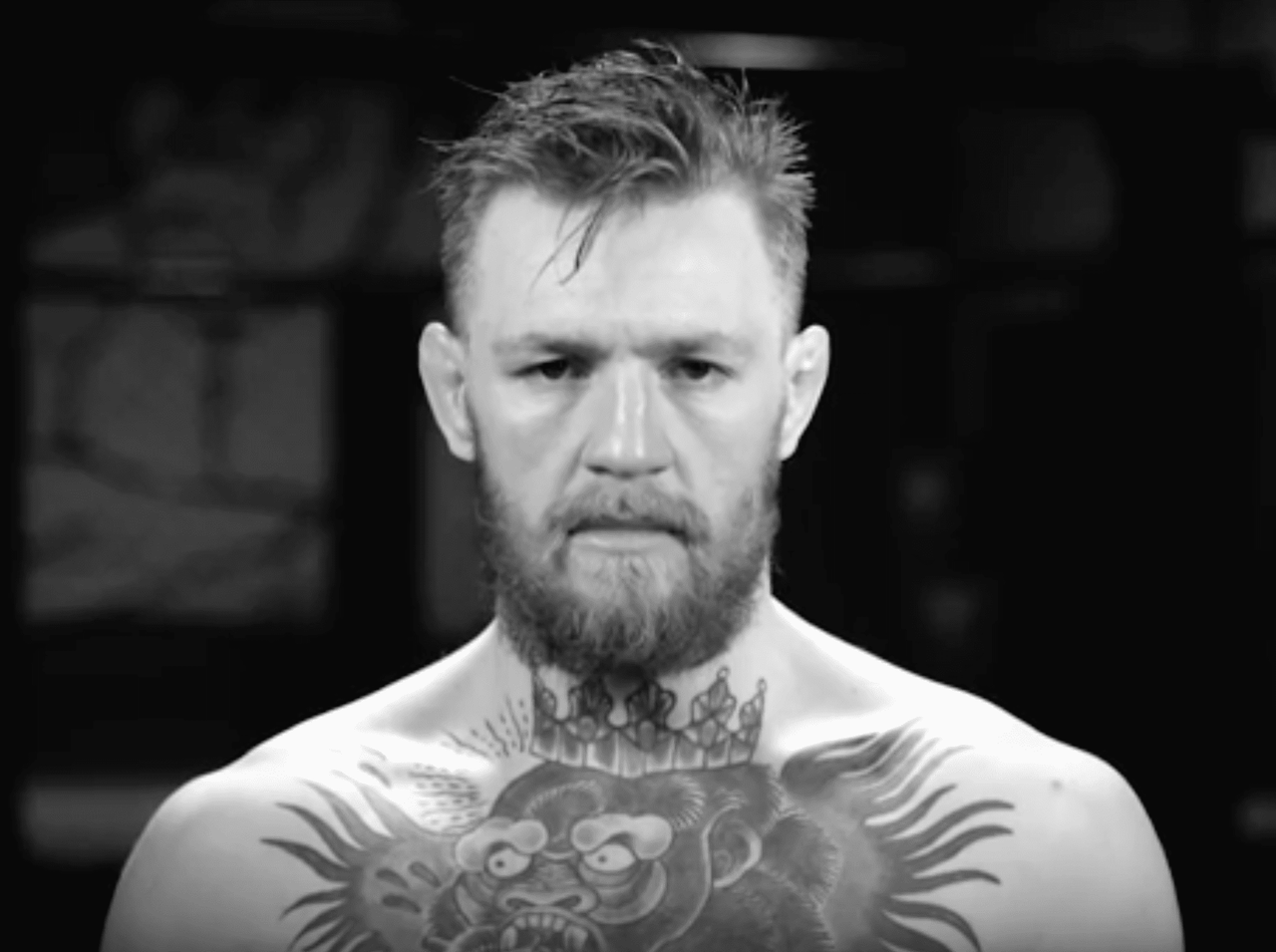Conor McGregor on the search for Belgian Blue bulls