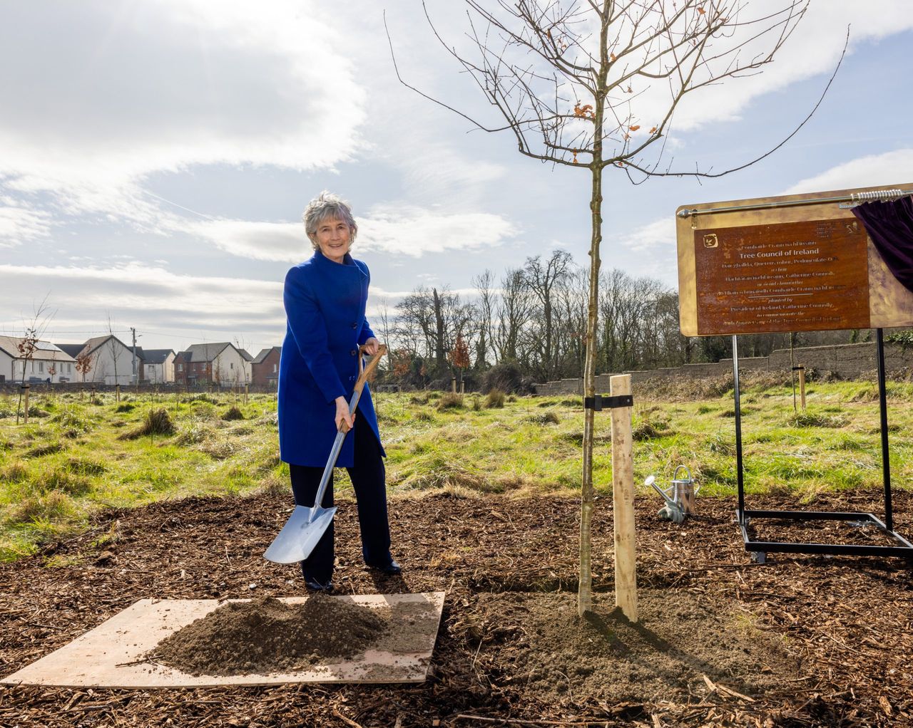 Coillte donates 100,000 trees for community planting projects