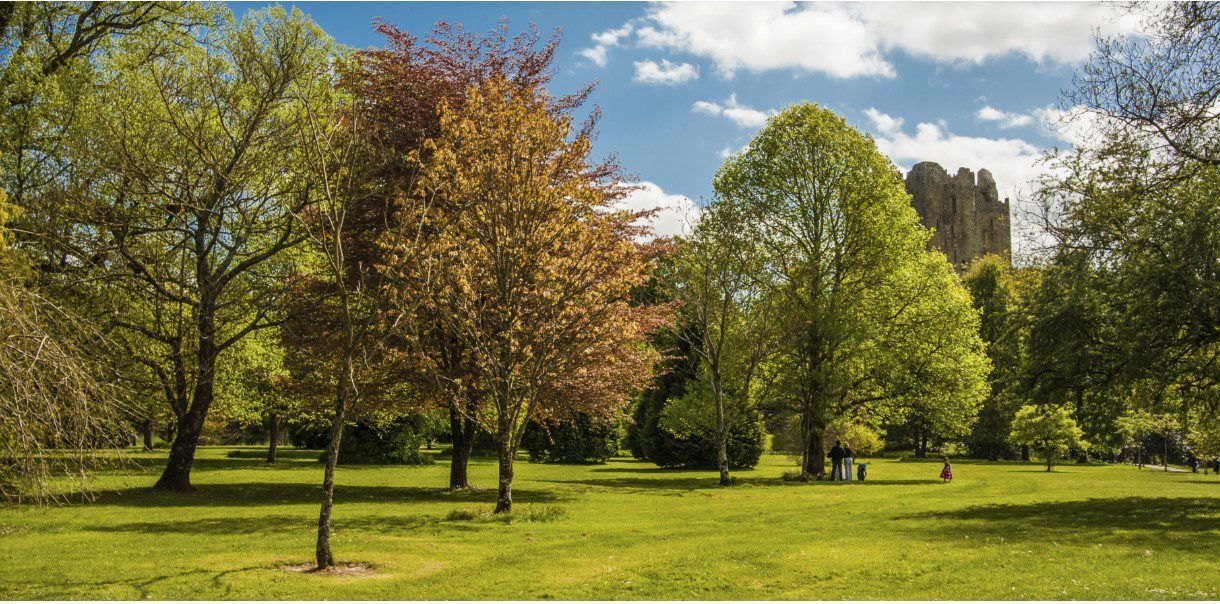 'Plant for our Planet': Public urged to back National Tree Week 2019