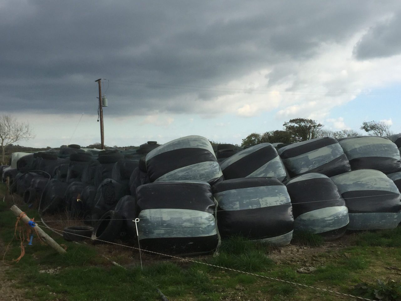 Warning issued over farmers' eagerness to replenish silage supplies