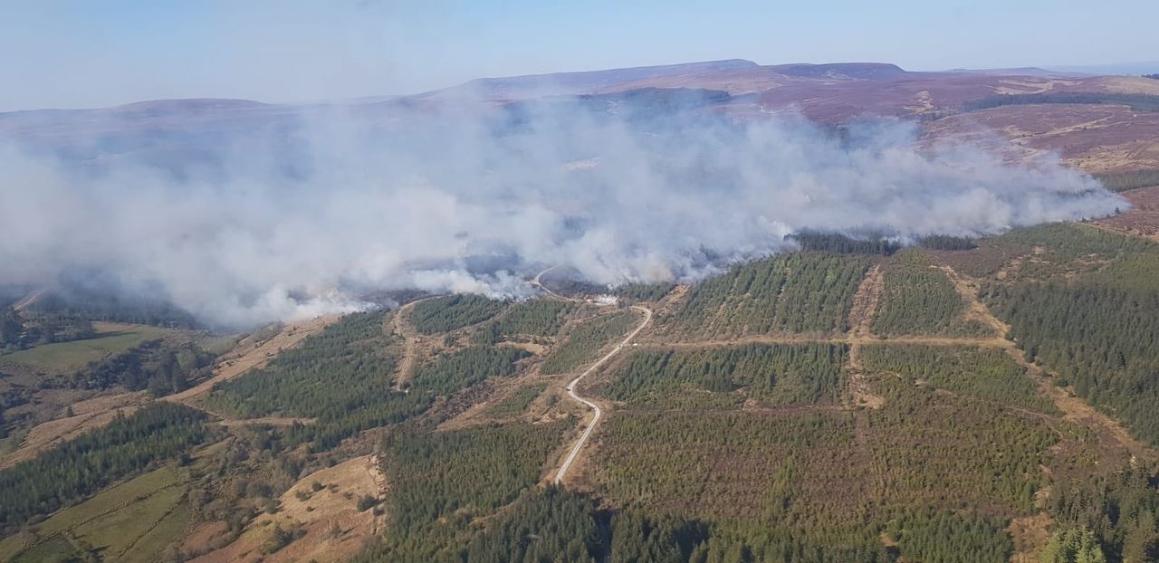 Coillte stresses forest fire risk after Leitrim blaze