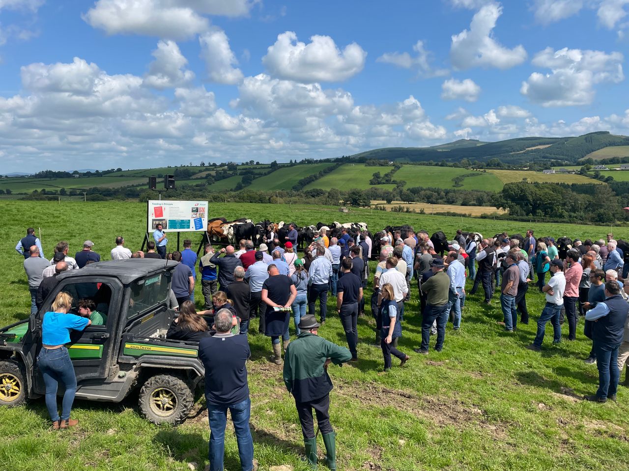 Winter feeding cattle: 'Age and growth stage determines diet'