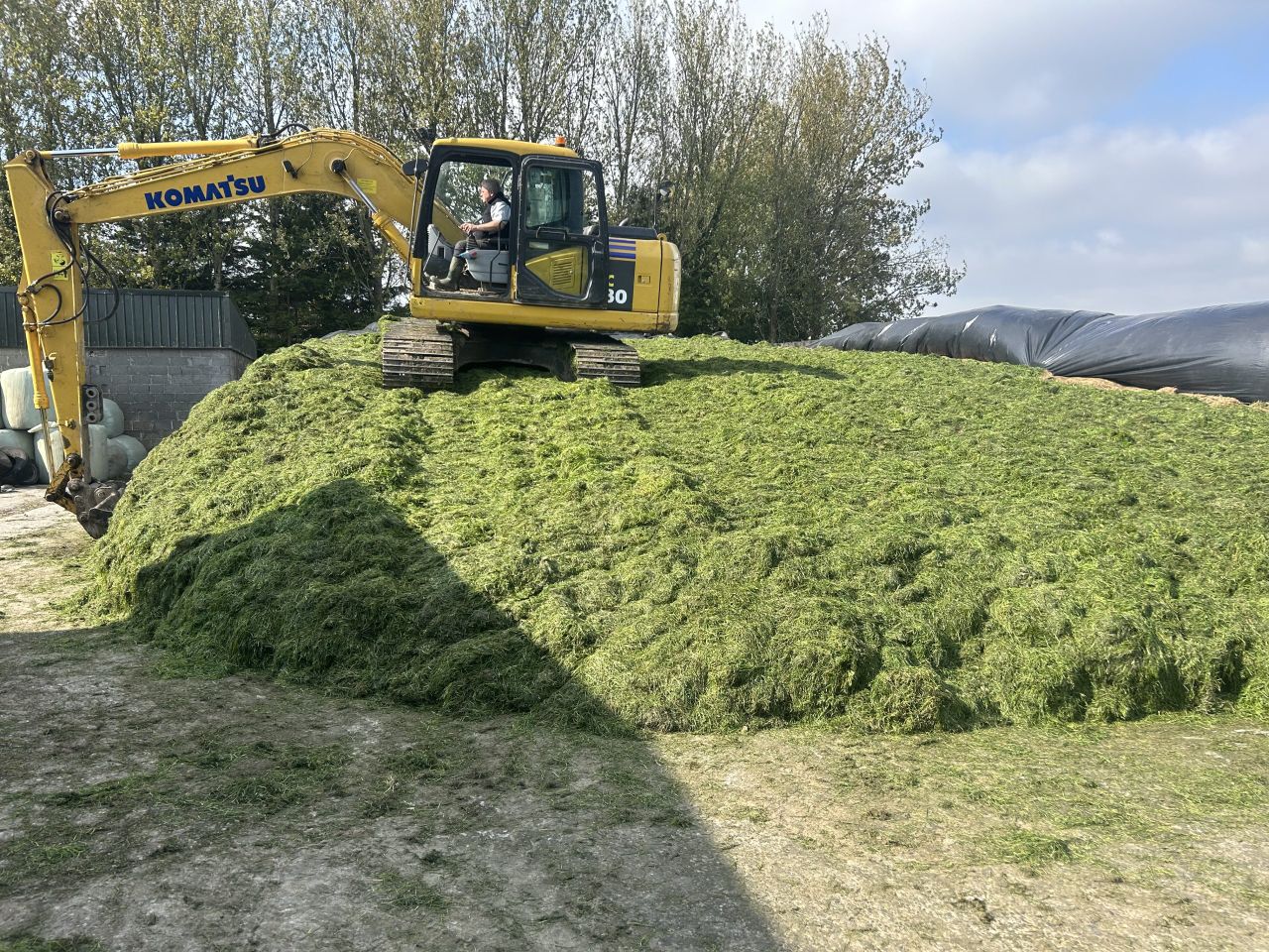 Time to test your silage for your winter milking herd