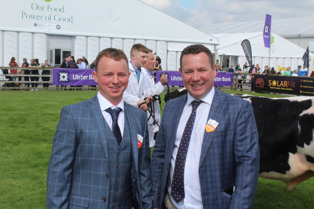 Bluetongue threat a key talking point at Balmoral 2024