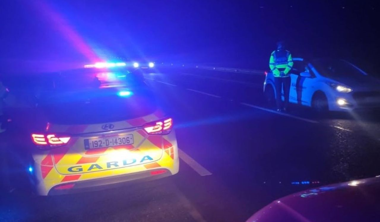 Gardaí investigate 2 collisions involving horses in Donegal