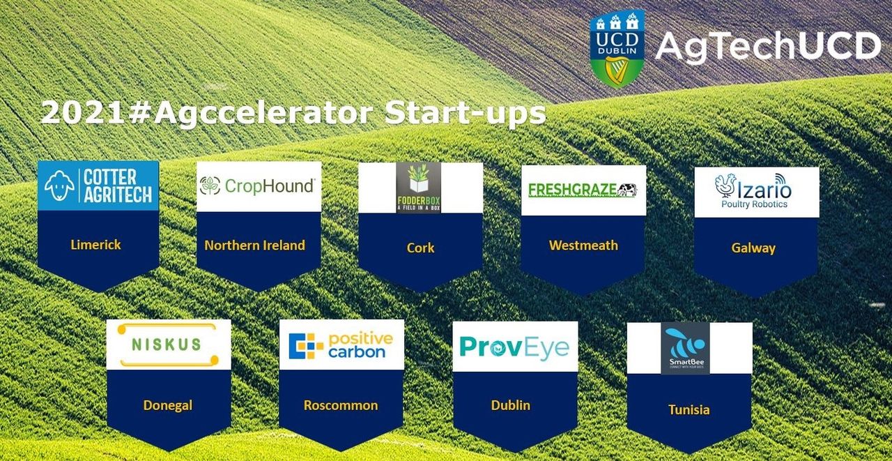 UCD selects 9 start-ups for AgTech programme