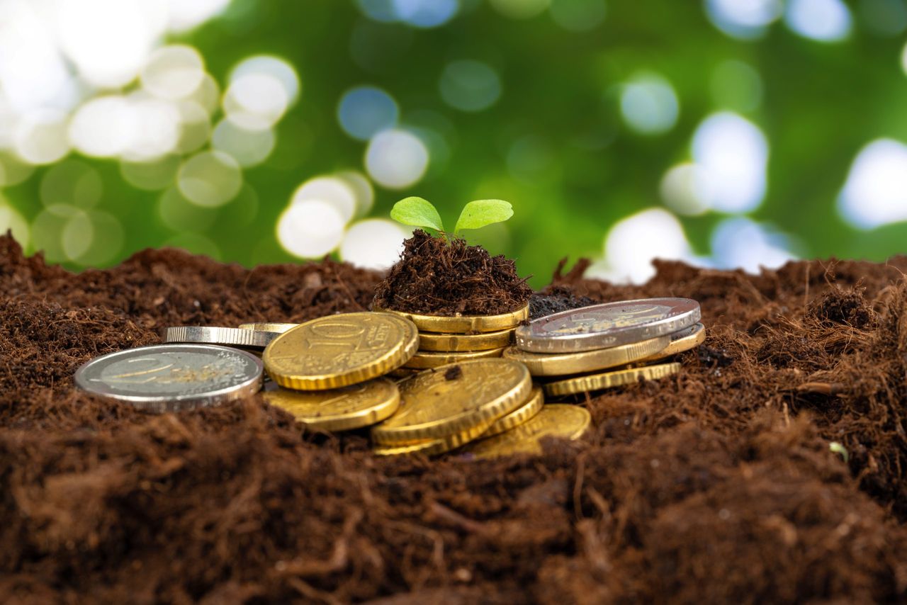 Irish agri-food sector facing 'very significant uncertainty' - ICOS