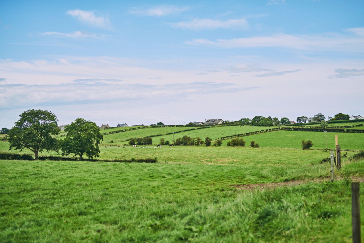 Farmland market steady as prices and rents to rise 4% in 2026 - report
