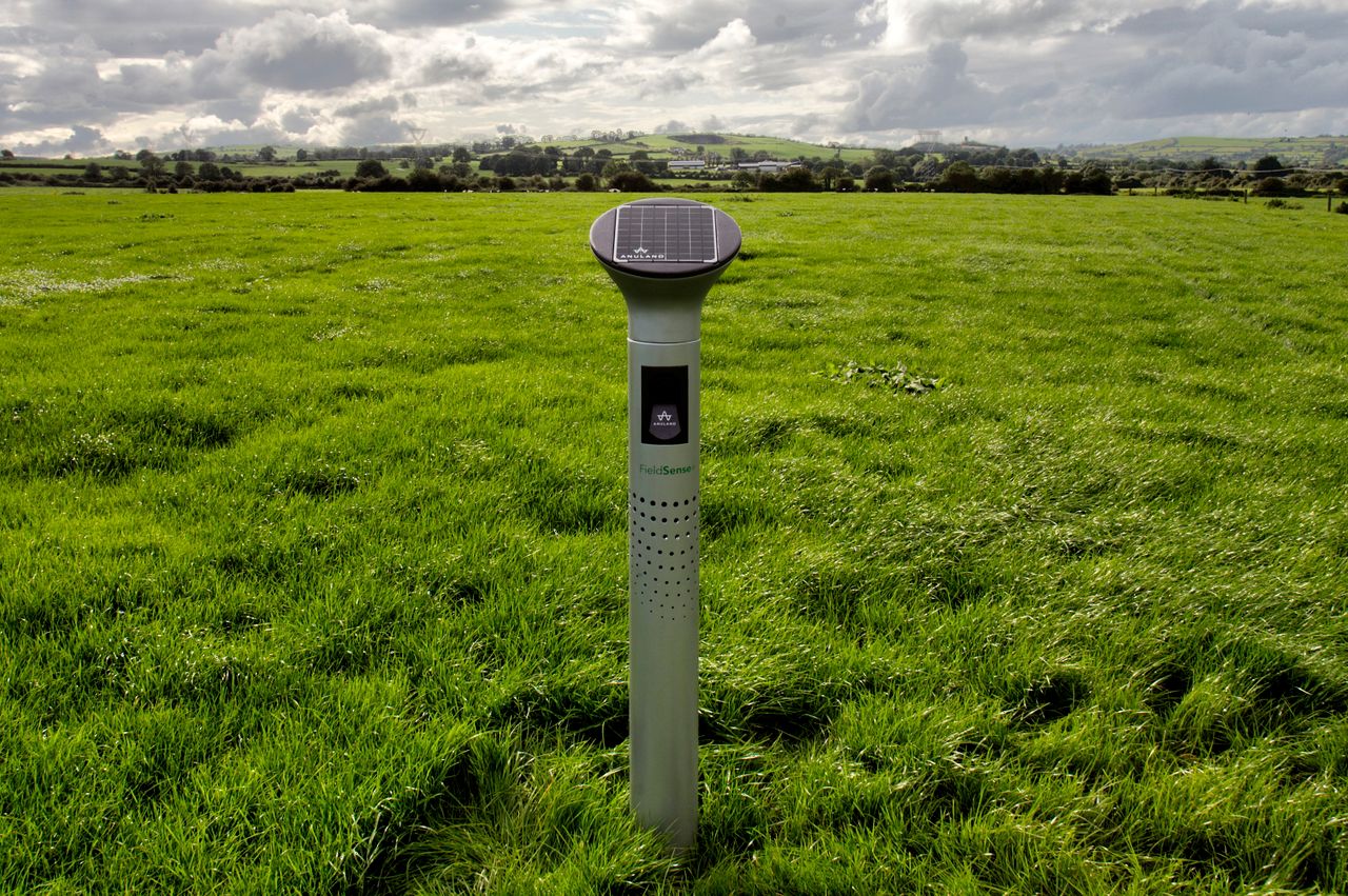 New grass management 'sensor' to be launched at the 'Ploughing'