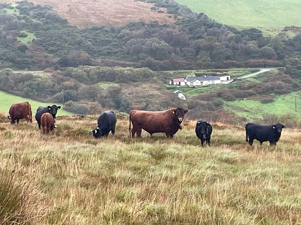 Inishowen project highlights range of biodiversity findings