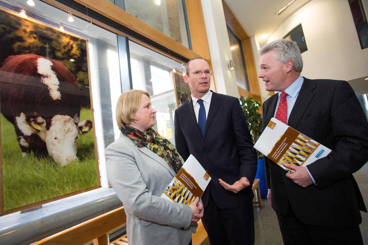 Minister Coveney says farmers can't be working for banks