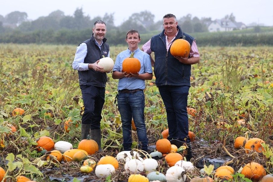 Lidl signs new €1.5m deal with family-run fresh produce firm