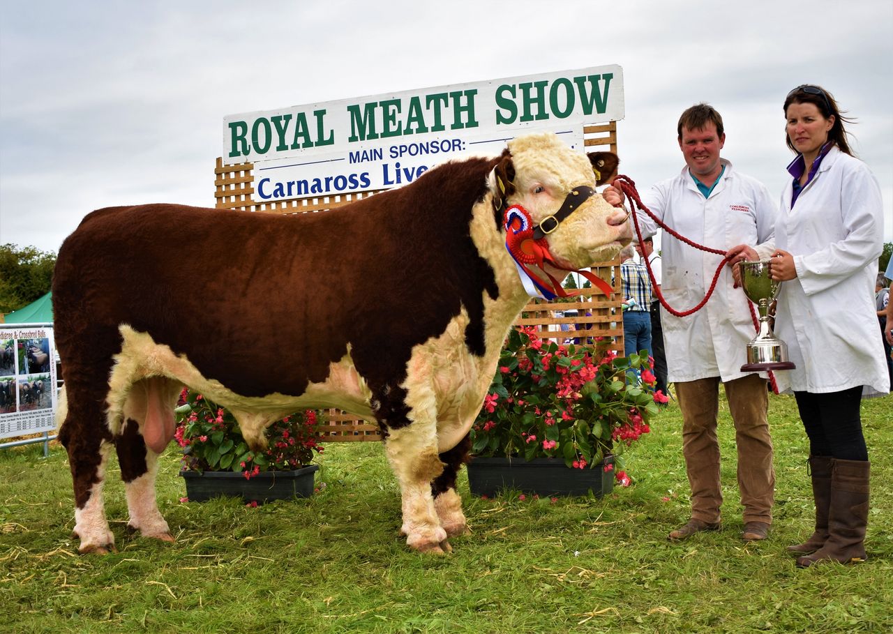 Herefords Dynamite and Quinlan top the table in Trim
