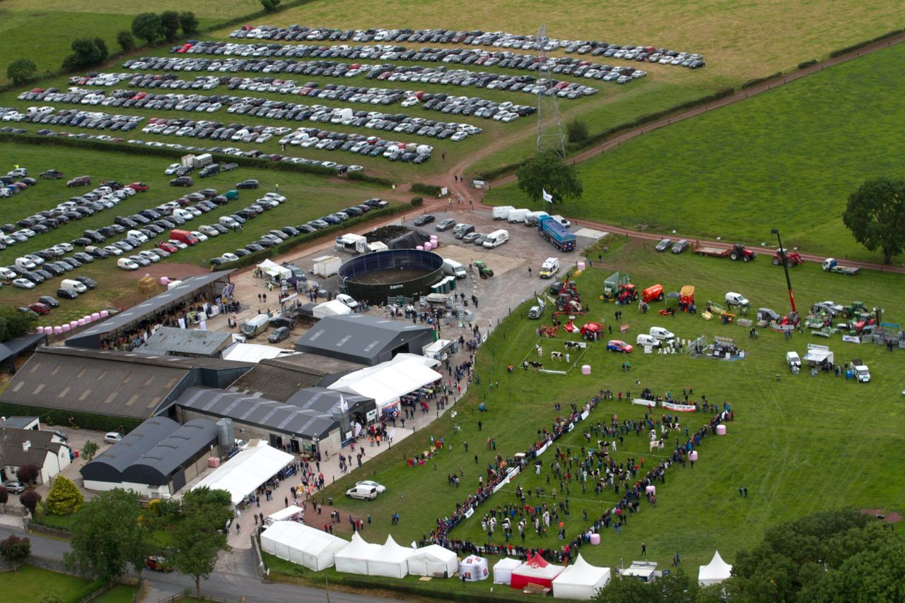 Heifers average €3,000 at IHFA open day