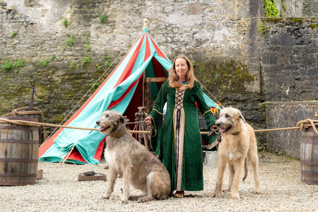 Rare breeds to be celebrated at Bunratty Castle & Folk Park