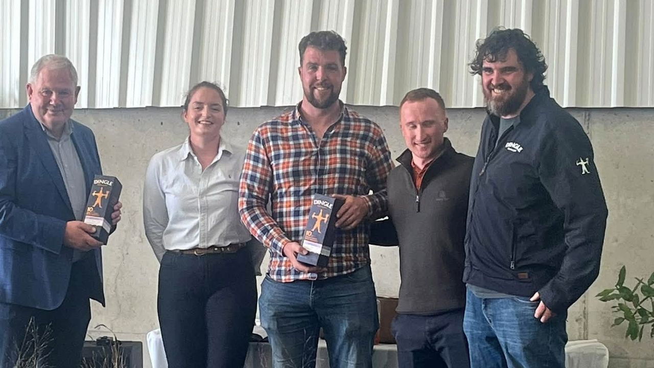 Leinster Aberdeen Angus club open day and herd competition winners