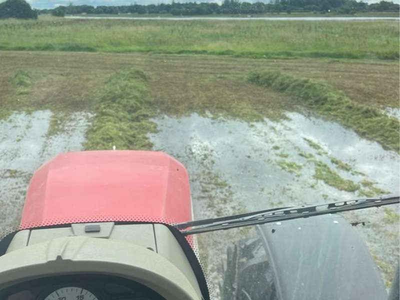Farmers left without funding after Shannon Callows flooding