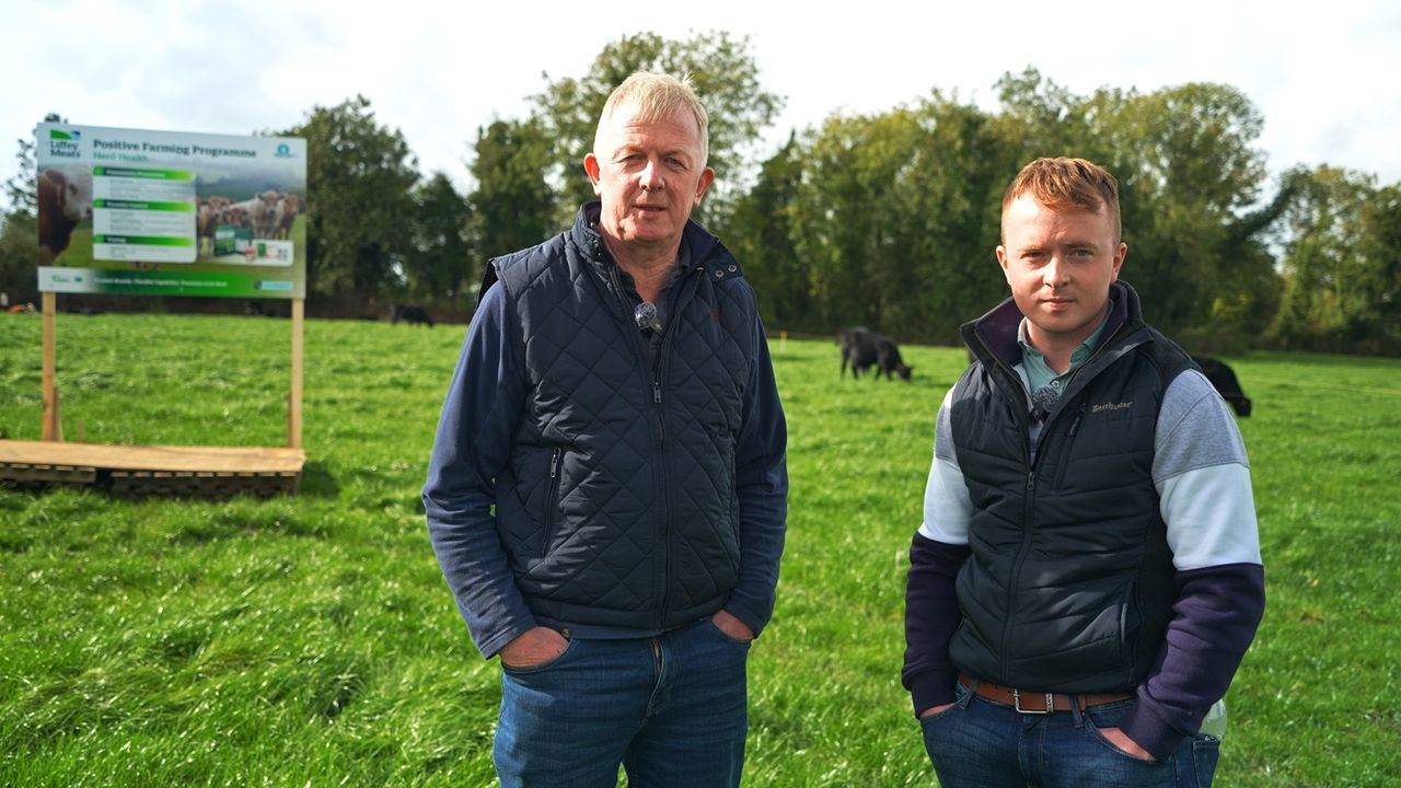 Father and son reaping rewards of Liffey Meats programme