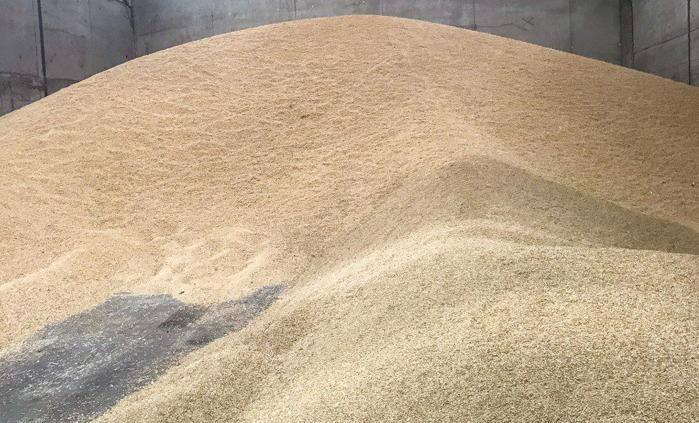 Unprecedented challenges facing farming and food in NI - NIGTA