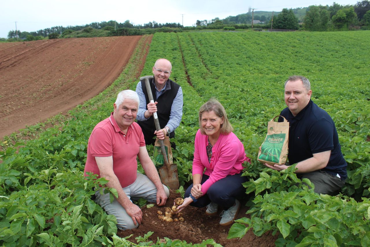 Sampling the first of this year's Comber Earlies:
Co. Down potato grower, William Gilmore; Joanne Weir, Wilson's Country with Tesco's Nigel Doherty and Stephen Galbraith (right)